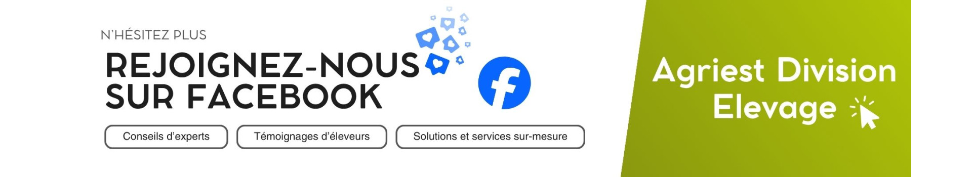 FACEBOOK V2